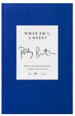 SIGNED, LIMITED EDITION What Am I, A Deer? by Polly Barton
